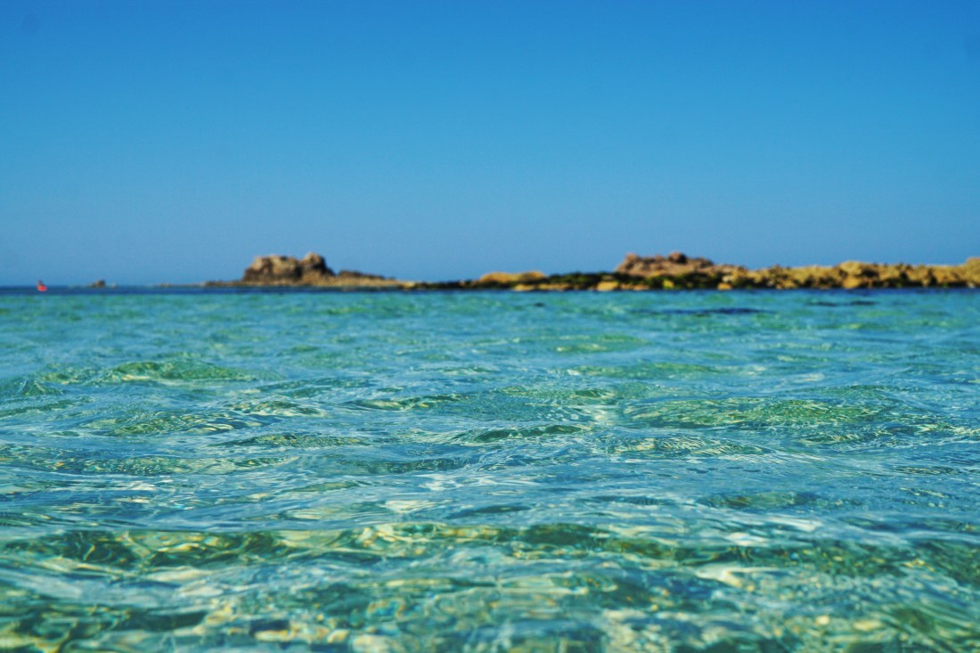 StockSnap_GJX297C4K1