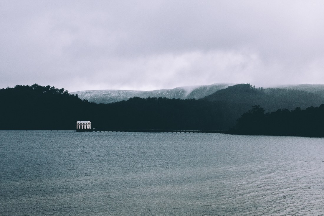 StockSnap_JWCVKJSGJ0